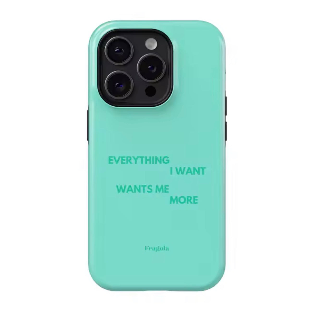 Everything i want phone case