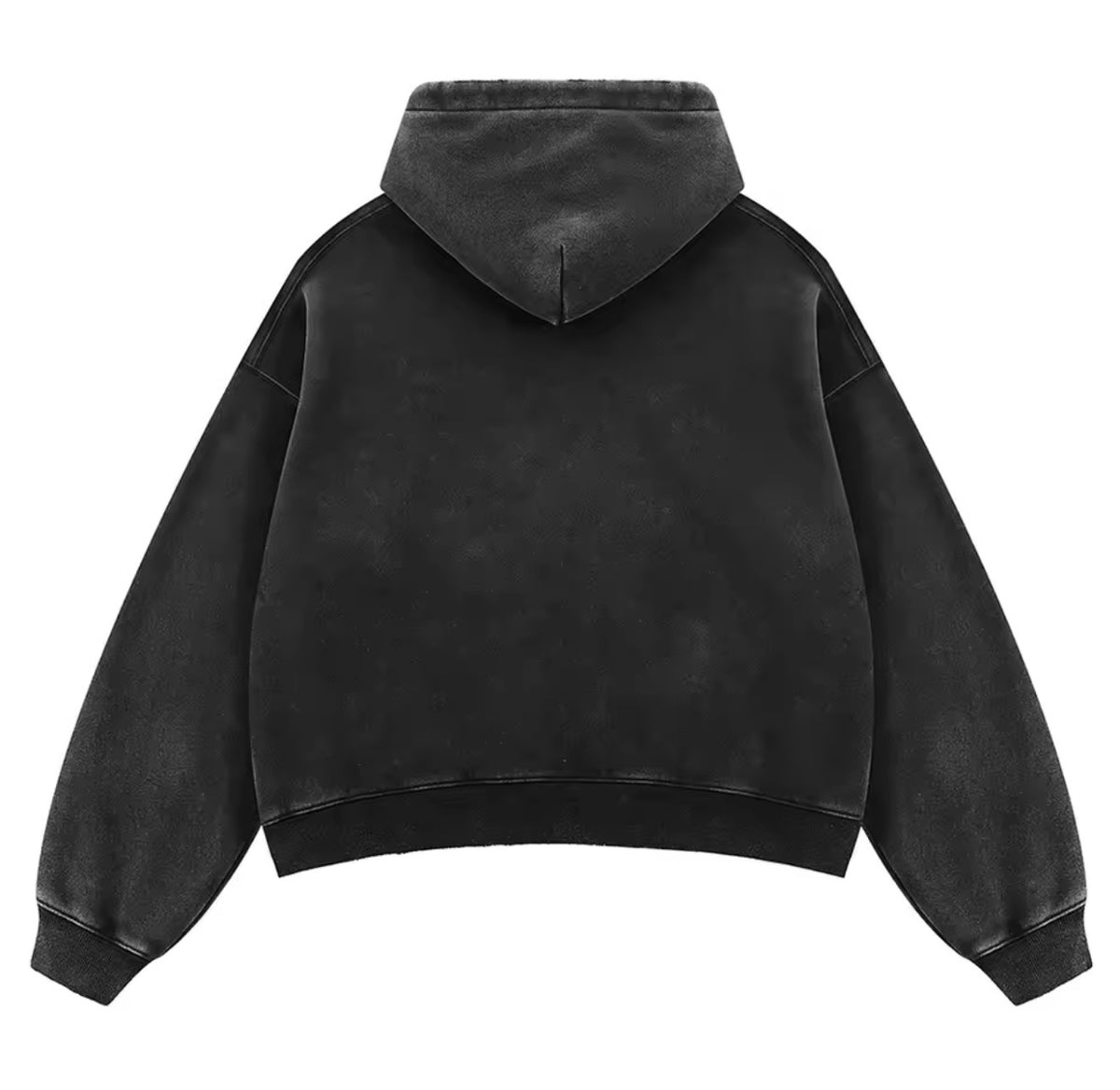 CARLOS SAINZ Hoodie
